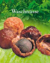 Waschnüsse